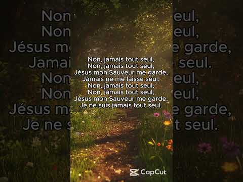 Ne crains rien je t'aime (Cover) | Partie 2#relaxingmusic #music #sunset #love