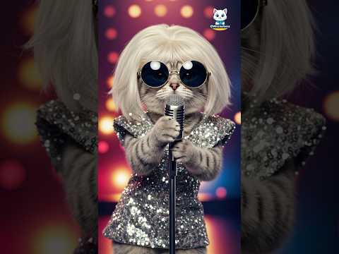 A CUTE CAT SINGING MEOW MEOW SONG 🐱🎤🎵 #shorts #catshorts