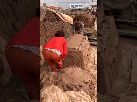 The Strength of This Clay Is Crazy #shorts #art #handmade #viralvideo