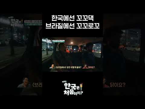 브라질식 닭소리에 모두 <strong>빵</strong> 터짐 l #MBCevery1클래식 l #어서와한국은처음이지