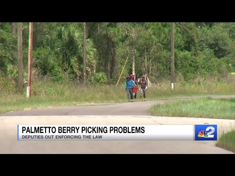 Berry burglars on the prowl in Lee County