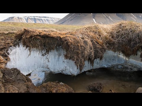 Cambio climático | Los riesgos que genera el derretimiento del permafrost