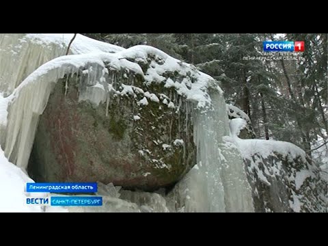 Вести Санкт-Петербург. Выпуск 14:30 от 03.03.2021