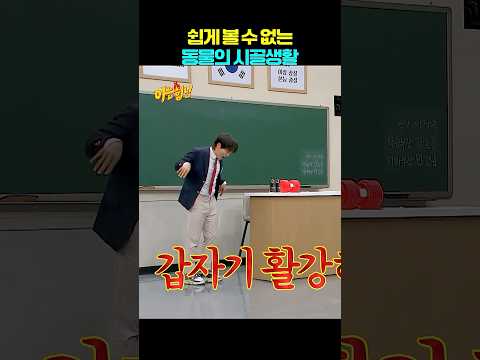 신비로운 동물의 시골 <strong>생활</strong>