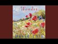 Wonder