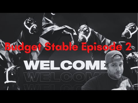Budget Stable Episode 002 - ZedRun stable with only $500