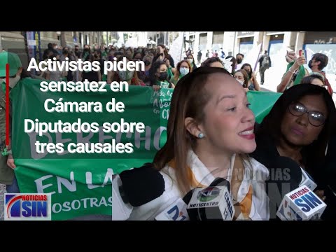 Activistas piden sensatez en Cámara de Diputados sobre tres causales