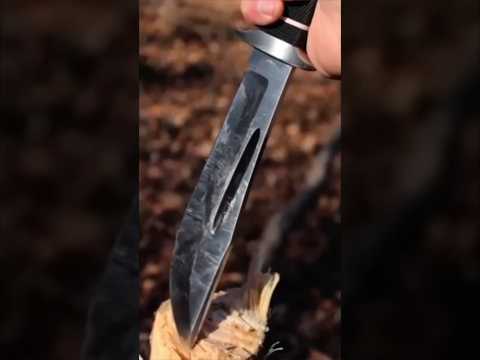 ðŸ”ªSOG Creed Knife: Unique Blade Steel & Design #shorts #knife #survival #shortsvideo #shortsfeed