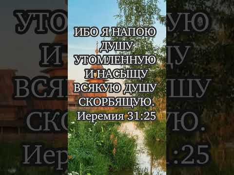 Вот это песня, сразу настроение поднимается, дорога добра. Позитивная песня.