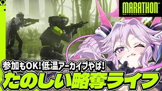 🔴【#marathon 】参加もOK！低温アーカイブ探検したい！【#マラソン #アンノネミ】