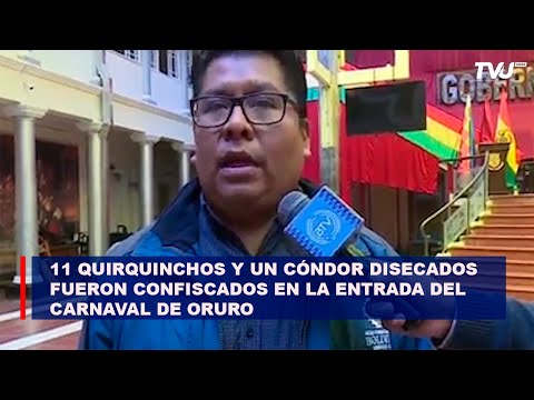 Once quirquinchos y un cóndor disecados fueron confiscados en la Entrada del Carnaval de Oruro