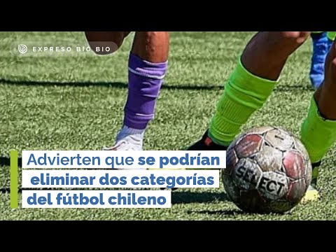 Advierten que se podrían eliminar dos categorías del fútbol chileno