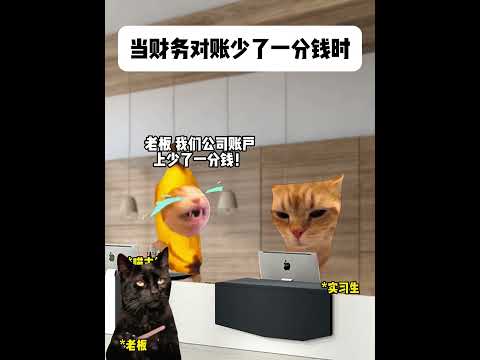 猫の動画サムネイル - 当财务对账发现少了一分钱时#有趣 #猫meme #猫meme剧场 #猫meme小剧场 #内容过于真实  #故事 #貓 #猫猫meme小剧场 #喵不可言