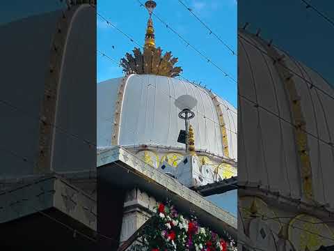 #ajmersharifdargah #viralvideos #shortvideos #subscribemychannel #mashallah 💐🌺🌷❤️💚