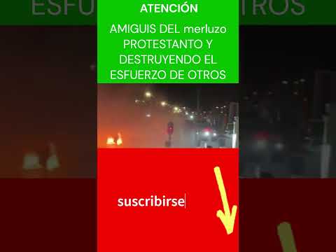 PROTESTAS DE LOS AMIGUIS DEL #merluzo 