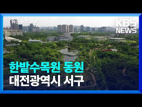 [뉴스광장 영상] 한밭수목원 동원 / KBS  2023.06.14.