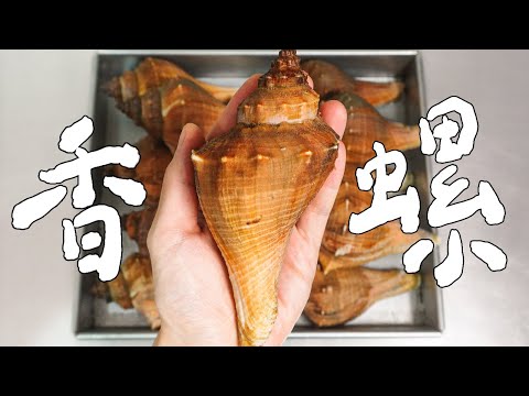 香螺的美味，值得十八個掌聲嗎？｜RICOの食材圖鑑