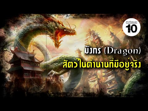 10-อันดับ-สัตว์ในตำนานที่มีอยู 10-อันดับ-สัตว์ในตำนานที่มีอยู