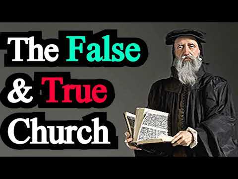Comparison Between the False Church and the True - John Calvin / Institutes