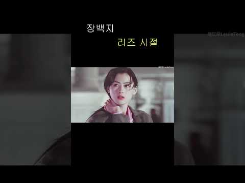 장백지 리즈 시절 張柏芝,