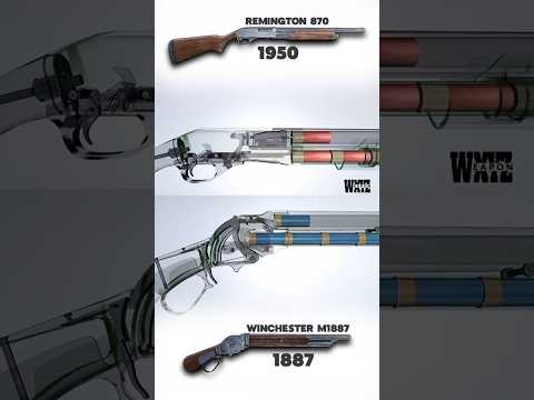 LEVER ACTION VS PUMP ACTION: Winchester M1887 x Remington 870