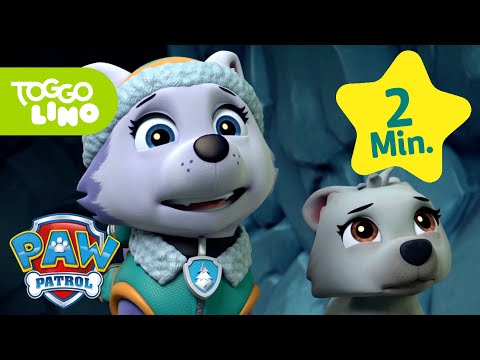 PAW Patrol Deutsch | Everest und der Polarwolf | Helfer auf vier Pfoten | Toggolino Serien