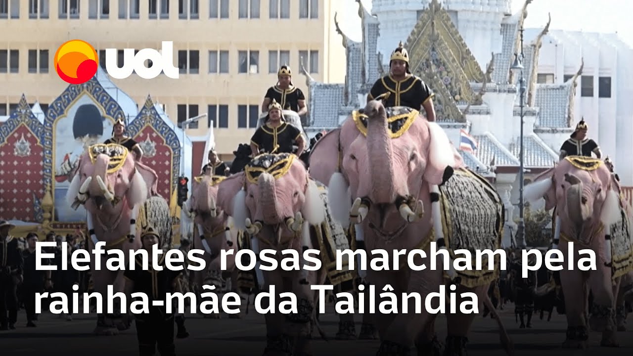 Elefantes rosas marcham em homenagem à rainha-mãe da Tailândia