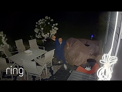 Woman Faces Terror of the Night - A Giant Moth! | RingTV