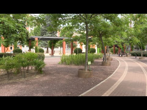 Reabre el Parque de Santander (Madrid) con más de 1.000 nuevos árboles