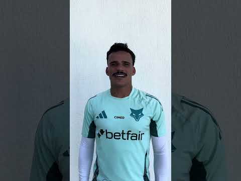 image para ilustrar o artigo