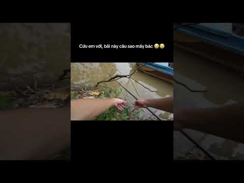 Dei cắm trại câu cá gặp bãi câu đẹp rừng Nam Cát Tiên #ducauky #camtraicauca #cauca #camtrai #cauca