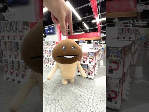 なめこ栽培キット つまんでつなげてマスコット発売開始！#Shorts #なめこ #ガシャポン #カプセルトイ