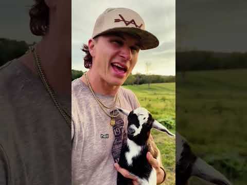 Are you A Little Country #country #youtubeshorts #countrymusic