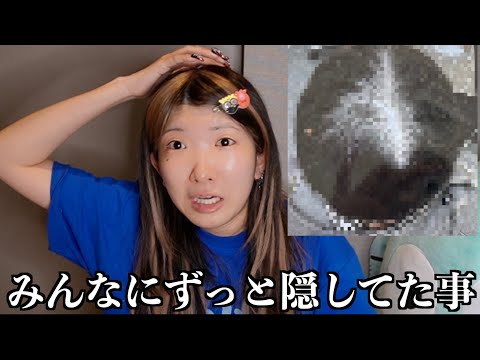 【幻滅注意】メイクしながら最近のやばい出来事を意を決してみんなにお伝えします、、、