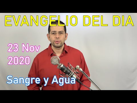 Evangelio Del Dia de Hoy - Lunes 23 Noviembre 2020- Los 44 Mil - Sangre y Agua