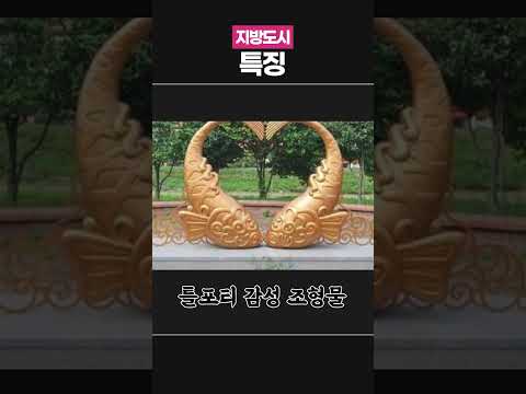 <strong>지방</strong> 도시라면 무조건 가지는 특징