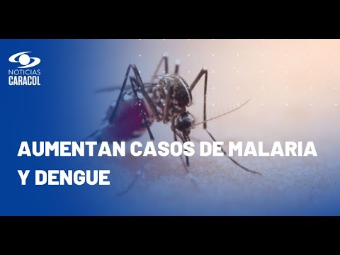 ¿Cómo protegerse la malaria y el dengue en Colombia, ante alerta de autoridades?