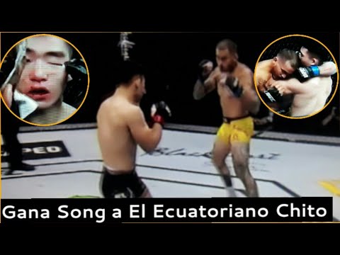 Resumen de la pelea Marlon Chito Vera vs. Song Yadong UFC