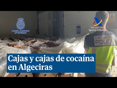 Cajas y cajas de cocaína que han supuesto la mayor incautación de droga de la historia en España