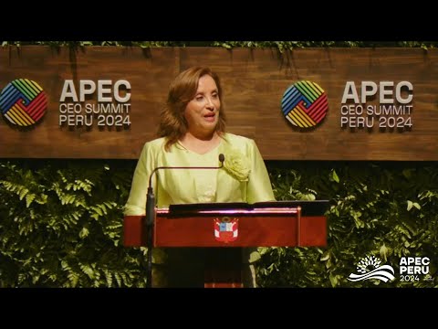 APEC CEO summit opening ceremony in Lima | AFP