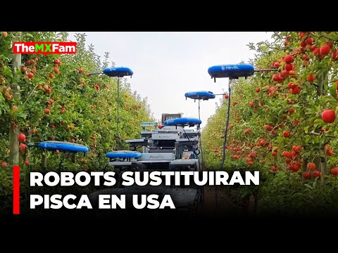 Robots para Pisca Sustituirán a Trabajadores Indocumentados en la USA? | TheMXFam