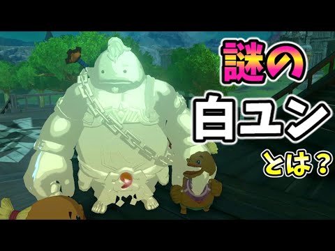 謎の白いユン坊がいるらしい(ver1.0.0)【ティアキン TotK】裏技 バグ 検証 ゆっくり実況 glitch