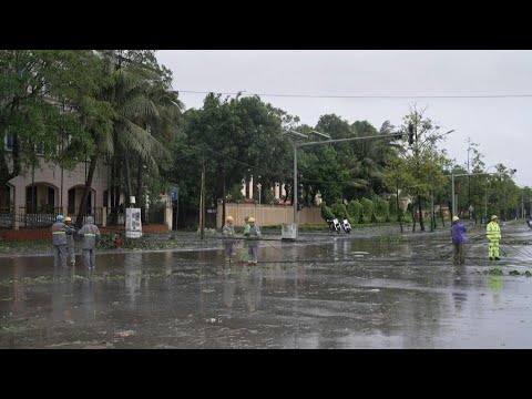 Downed power lines, fallen trees in aftermath of Typhoon Kajiki in Vietnam | AFP
