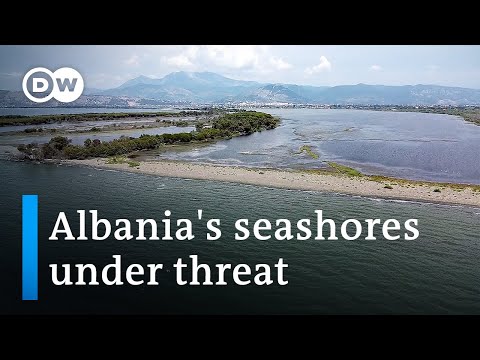 How rising sea levels threaten Albania's economy and biodiversity | Focus on Europe