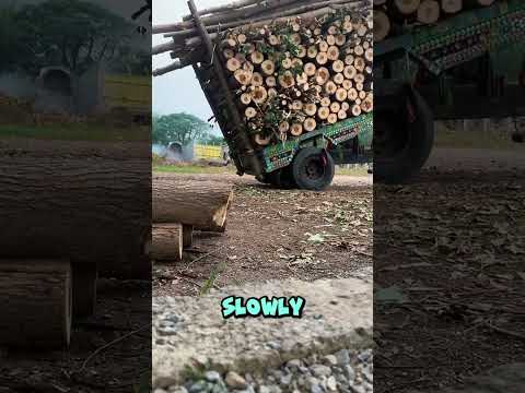 Perfect Method To Unload Loaded Truck 🚛