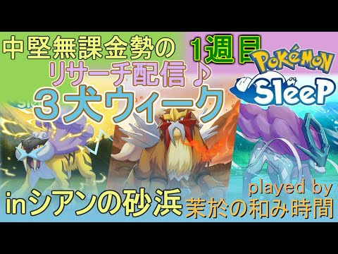 ３犬ウィーク！良スイクン狙い！【#ポケモンスリープ】キャンチケ使用＆お香焚きまくるよー！シアンの砂浜＋７５％睡眠リサーチ♪Plus+所持。無課金のんびり攻略PokémonSleep実況プレイ♪