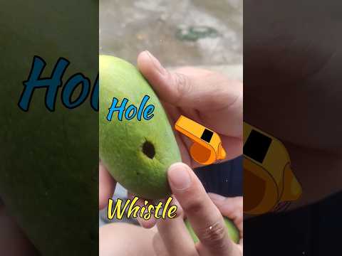 Whistle from Mango Fruit 😙🥭 #shorts #mango #whistle