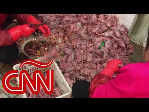 Coronavirus de Wuhan: repulsivas imágenes del mercado donde se originó el brote y la alerta mundial