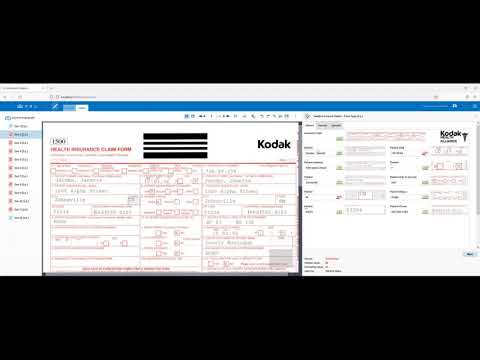 Kodak Info Input Solution Indexing Form Customisation Preview