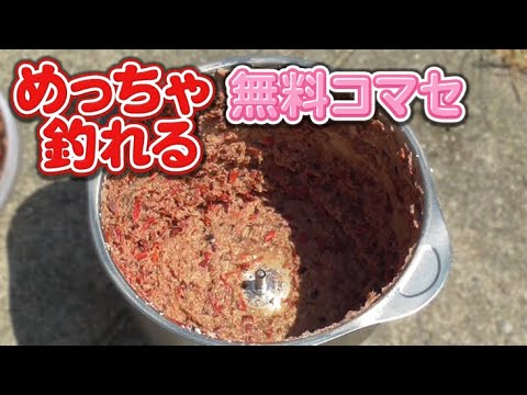 【めちゃ釣れるのに無料！】０円コマセの作り方！改良編